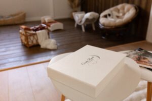 studio photo Guilherand-Granges