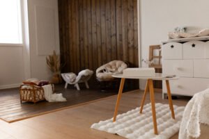 studio photo Guilherand-Granges