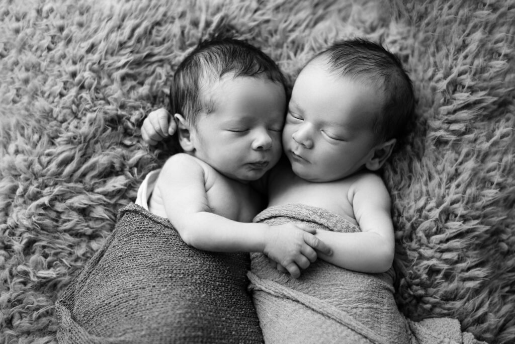 Photographe naissance Cuers